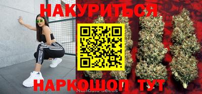 mdpv Кингисепп