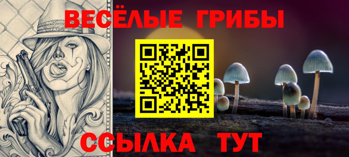 Псилоцибиновые грибы Psilocybe Красноуфимск
